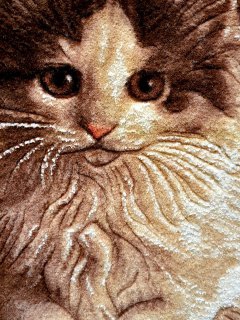 İran%20El%20Dokuması%20Tablo%20Halı%20(2%20kedi)%20Ebat:%20(38%20x%2060)%20cm
