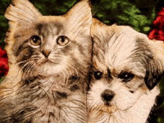 İran%20El%20Dokuması%20Tablo%20Halı%20(Kedi%20&%20Köpek)
