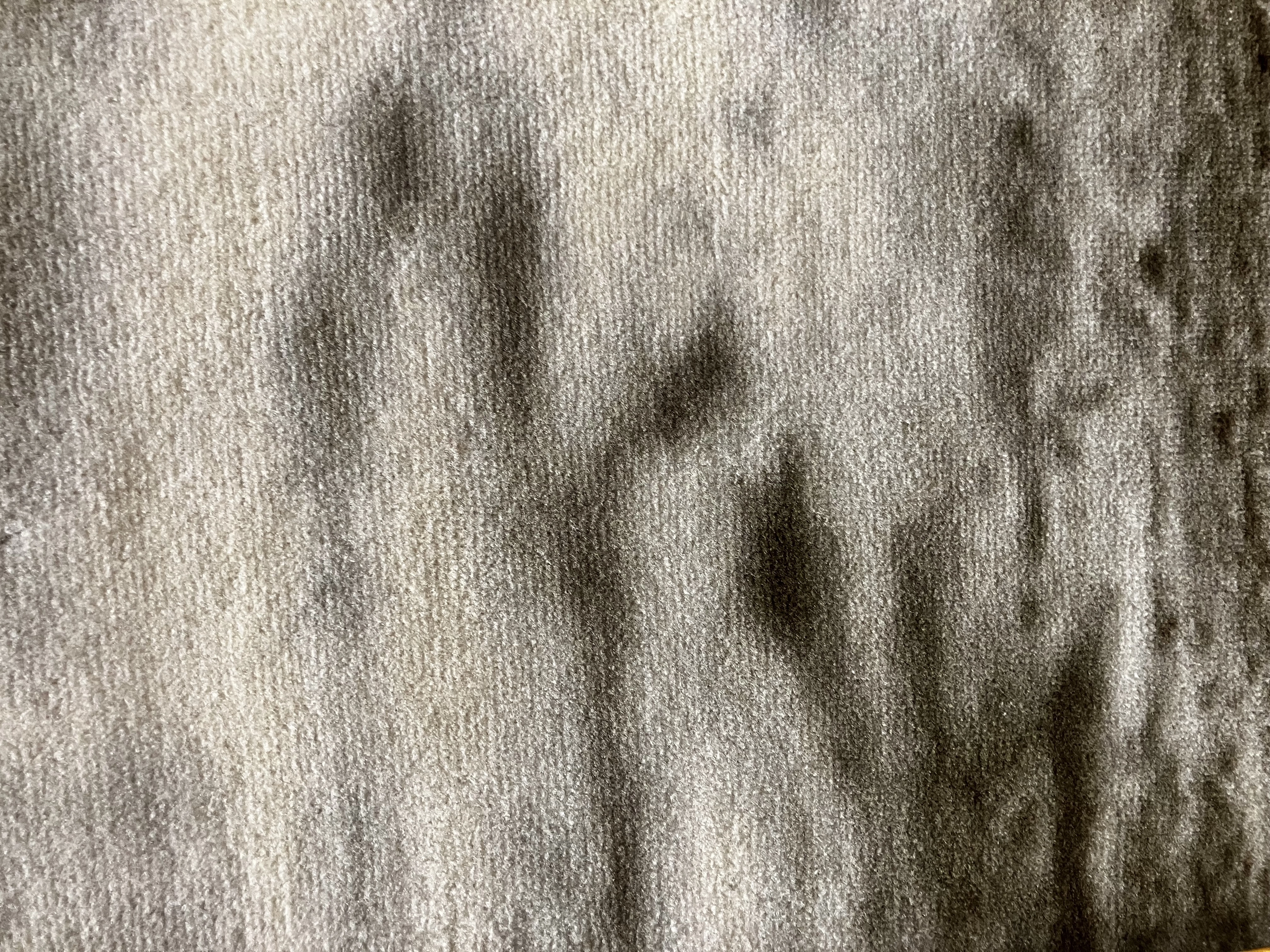 Luxury Handwoven Iranian Wall Carpet – Victory Lion | 75x132 cm | Wool & Silk | Made in Iran