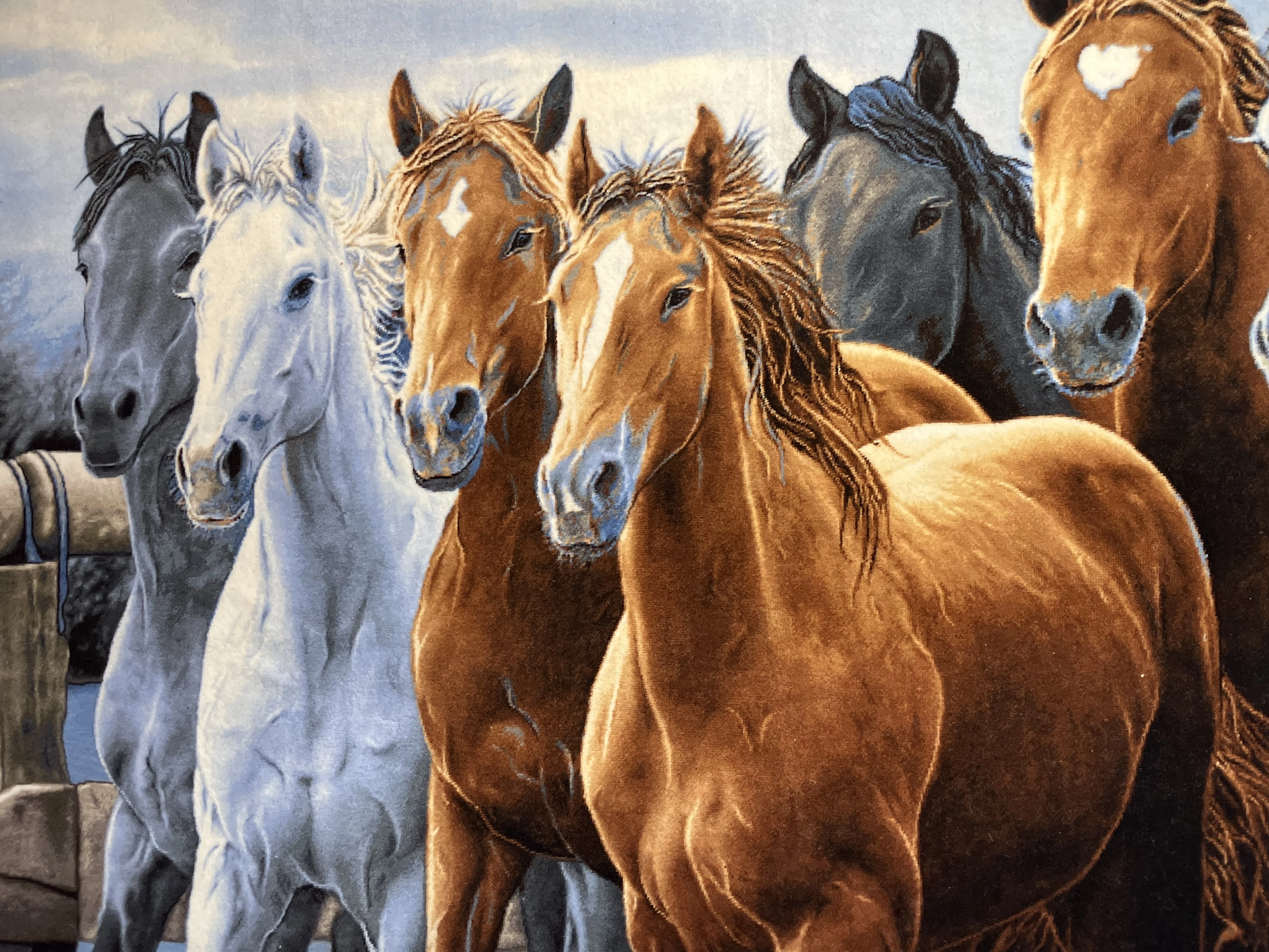 El Dokuması İran Tablo Halısı – Güzel Atlar | 118×152 cm