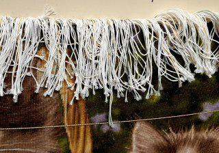 Iranian Handmade Tableau Rug (Two cats)