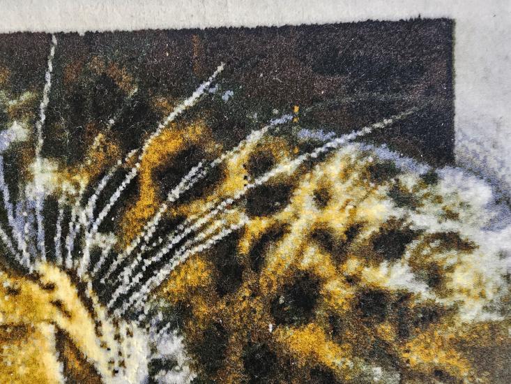 EBRISEM Gallery | İran El Dokuma Tablo Halısı | 51×68 cm | Leopar