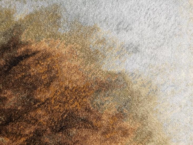 EBRISEM | Kartal El Dokuma İran Tablo Halısı 46×65 cm