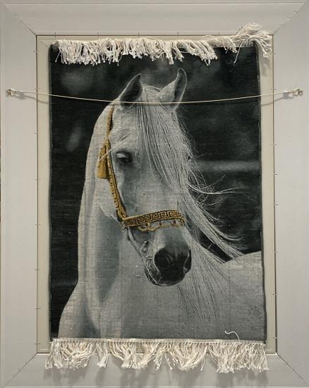 EBRISEM | Beyaz At El Dokuma İran Tablo Halısı 46×65 cm