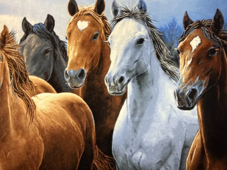 EBRİŞEM | Güzel Atlar El Dokuması İran Tablo Halısı 118×152 cm