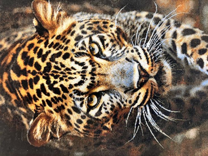 EBRISEM Gallery | İran El Dokuma Leopar Avcısı Figürlü Tablo Halı | 44×76 cm