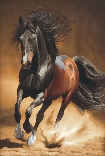 İran El Dokuması Tablo Halı ( At) Ebat: (61 X 72) cm