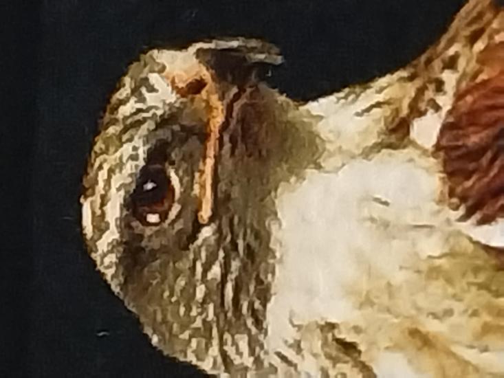 İran El Dokuması Tablo Halı (şahin) Ebat: (40 x 76) cm