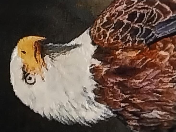 İran El Dokuması Tablo Halı (kartal) Ebat: (49 x 67) cm