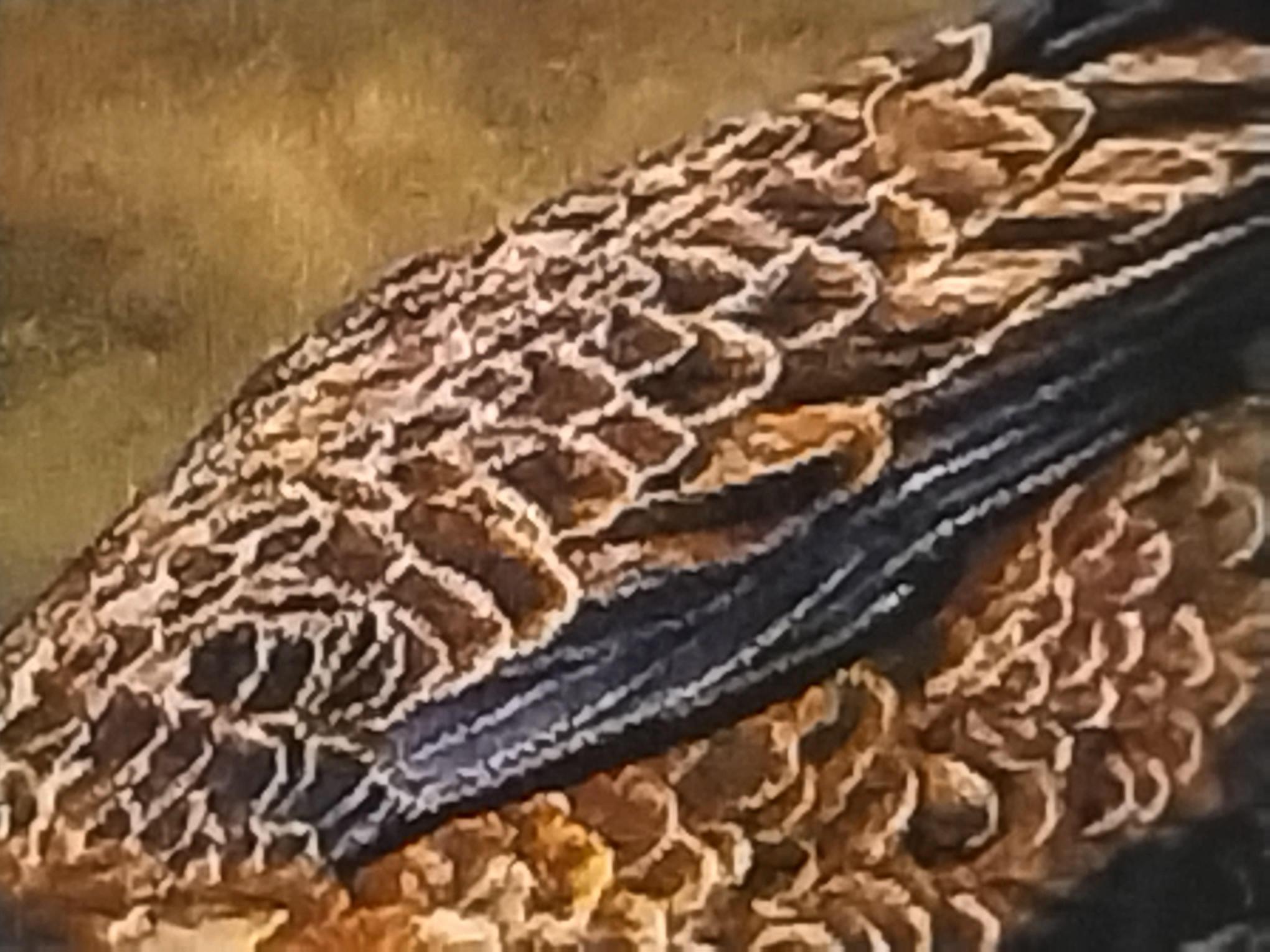 İran El Dokuması Tablo Halı (kartal) Ebat: (49 x 67) cm