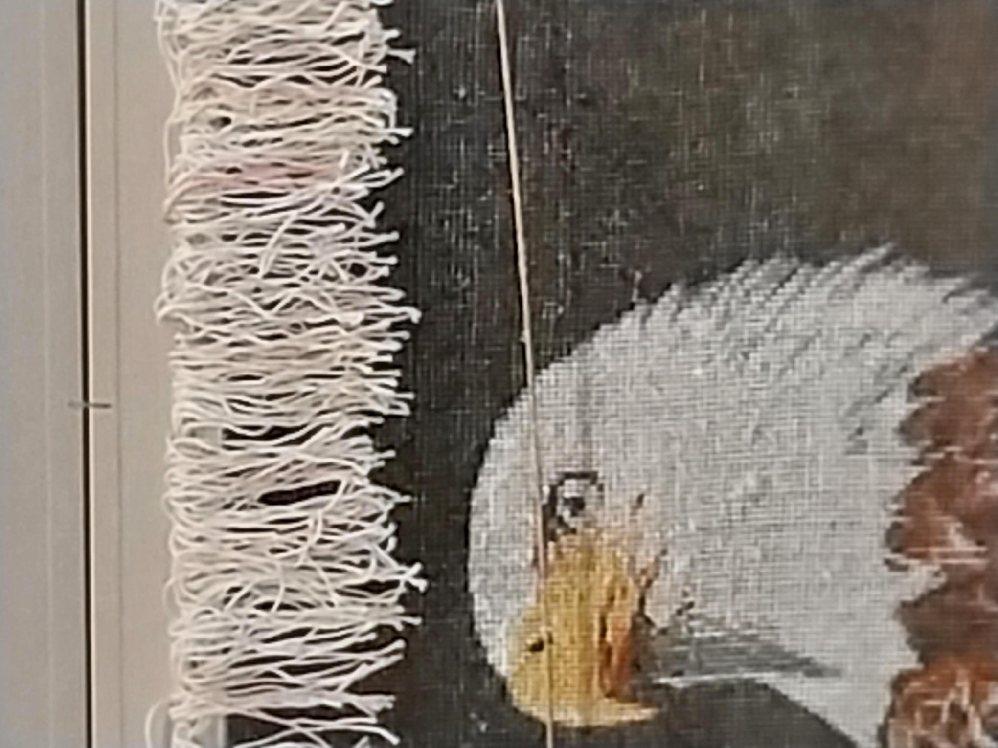 İran El Dokuması Tablo Halı (kartal) Ebat: (49 x 67) cm