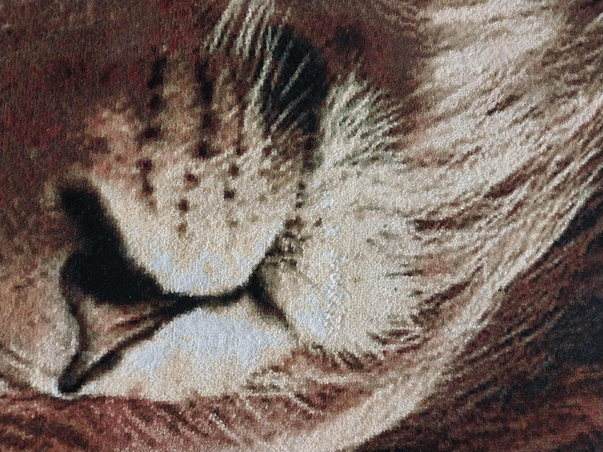 İran%20El%20Dokuması%20Tablo%20Halı%20(Aslan)%20Ebat:%20(77%20x%2079)%20cm