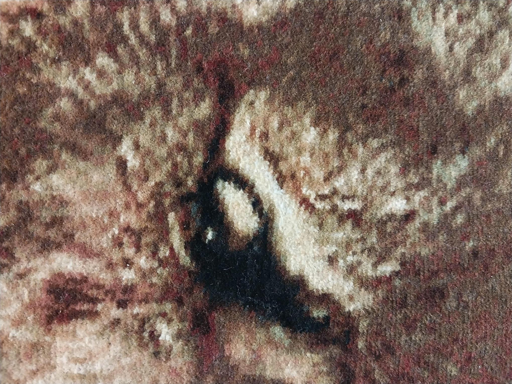 İran%20El%20Dokuması%20Tablo%20Halı%20(Aslan)%20Ebat:%20(81%20x%2086)%20cm