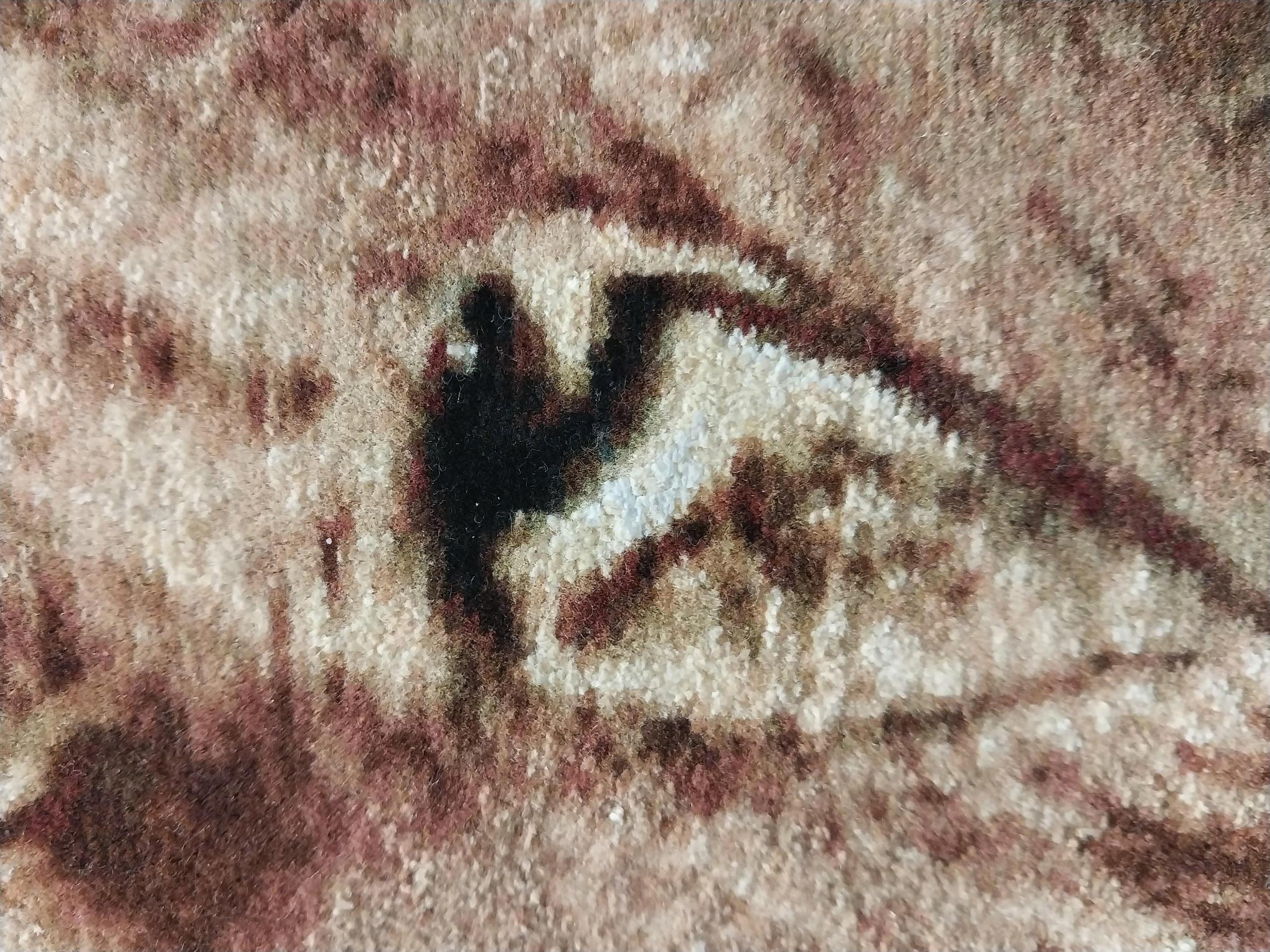 İran%20El%20Dokuması%20Tablo%20Halı%20(Aslan)%20Ebat:%20(77%20x%2079)%20cm